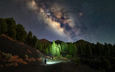 Quando la grazia prende forma